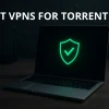 Best VPN for Torrenting